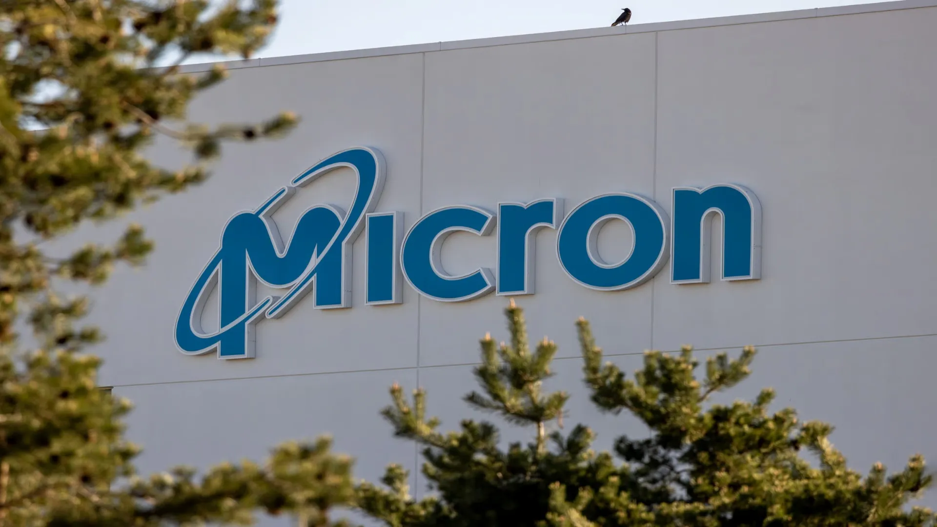 Micron Is Quadrupling DDR4 Output at Its Virginia Plant and Wall Street Is Now Watching Every Move With Nervous Anticipation