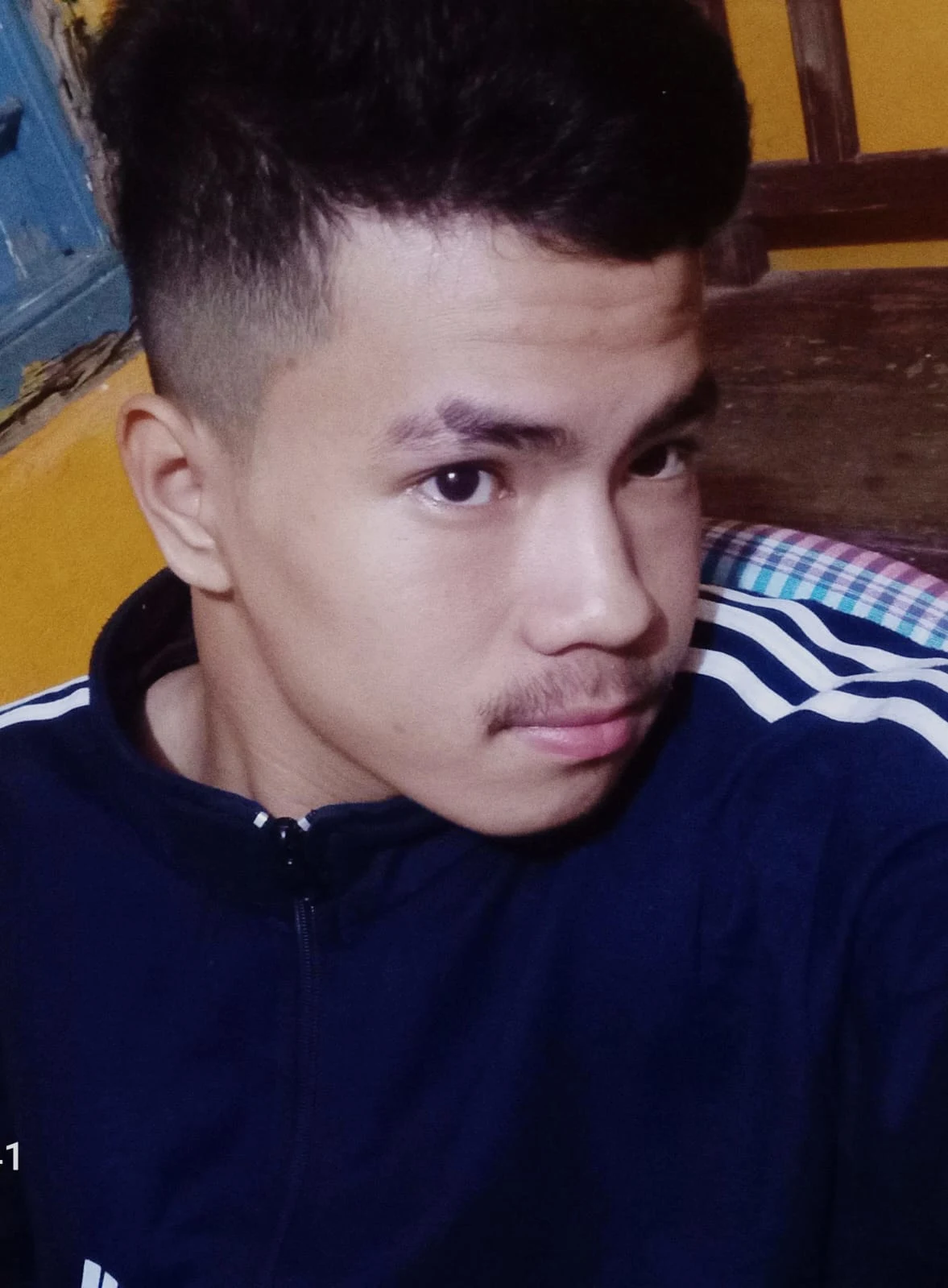 Milan Rupini Author Profile