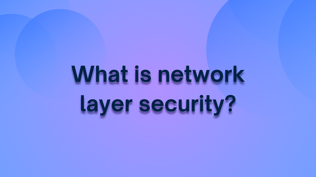 What is network layer security?